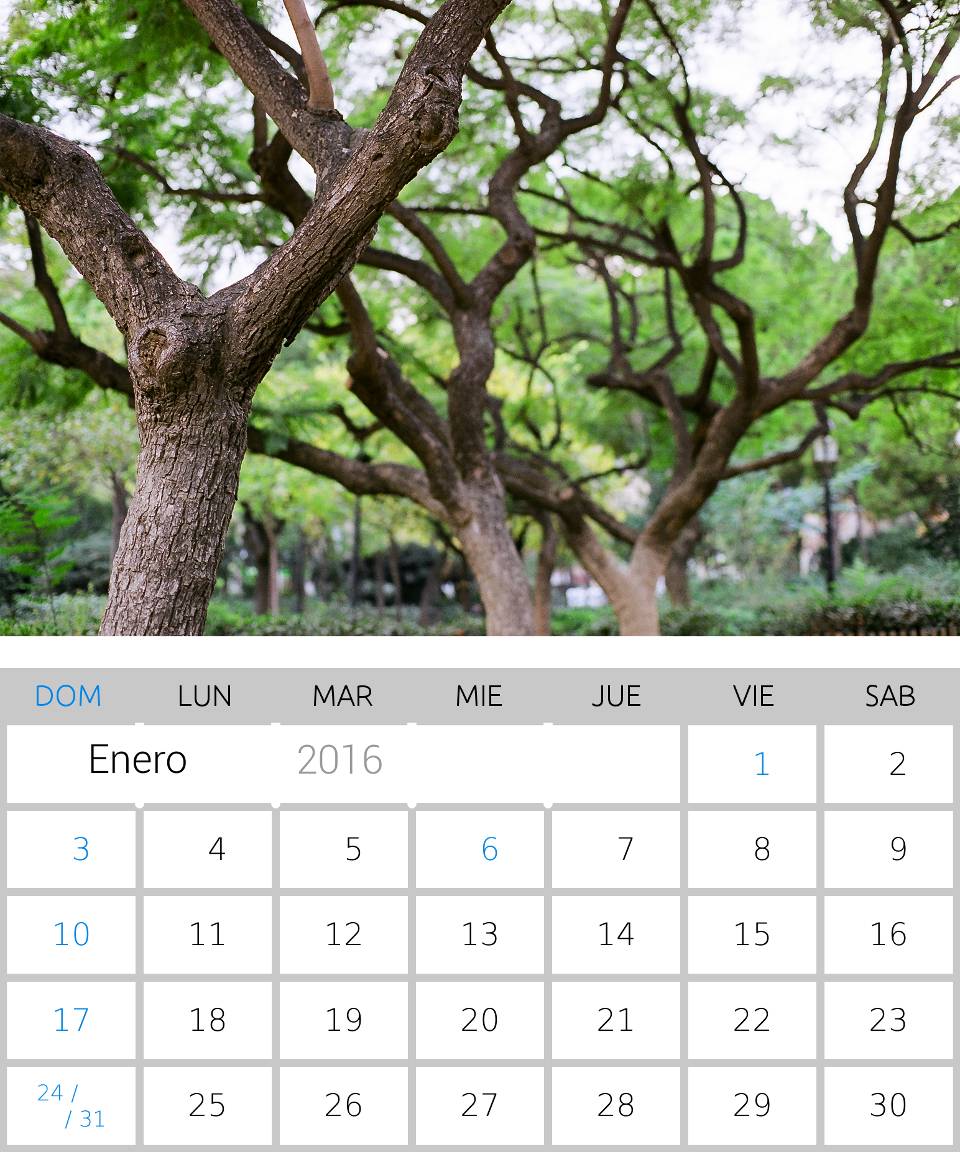Calendario 2016 de Enero