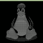 ¿Que es la terminal de Linux? Y comandos básicos que deberías utilizar