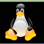 Terminal Linux verde